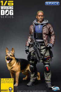 1/6 Scale German Shepherd