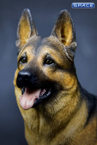 1/6 Scale German Shepherd