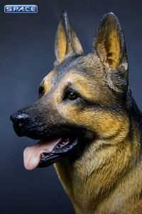 1/6 Scale German Shepherd