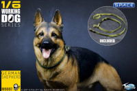 1/6 Scale German Shepherd