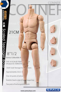 1/6 Scale Teenager Body