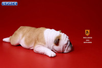 1/6 Scale yellow and white Bulldogs