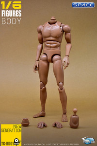 1/6 Scale New Generation Male Body narrow shoulders