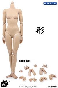 1/6 Scale Super-flexible female suntan Body little breast