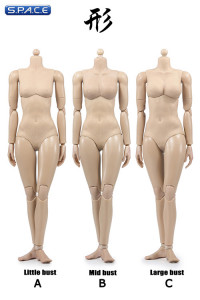 1/6 Scale Super-flexible female suntan Body little breast