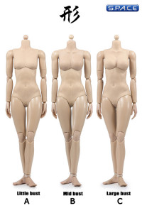 1/6 Scale Super-flexible female suntan Body large breast