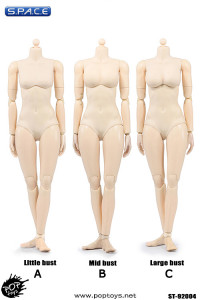 1/6 Scale Super-flexible female pale Body middle breast