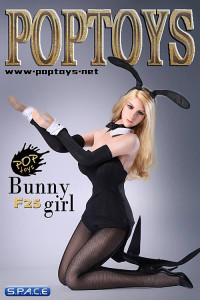 1/6 Scale Sexy Waitress Bunny Girl suit black