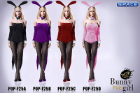 1/6 Scale Sexy Waitress Bunny Girl suit purple