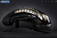 1:1 Gigers Alien Head Life-Size Replica (Alien)