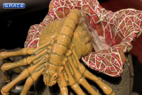 Alien Egg & Facehugger (Alien)