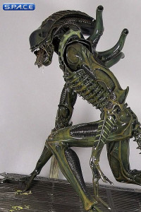 Alien Warrior (Aliens)