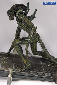 Alien Warrior (Aliens)