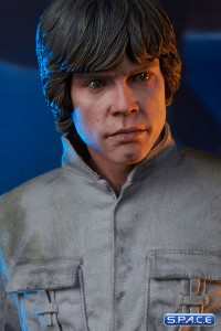 Luke Skywalker Premium Format Figure (Star Wars)