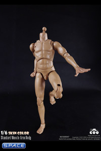 1/6 Scale Standard Muscle Arm Body