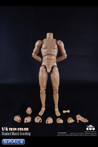 1/6 Scale Standard Muscle Arm Body