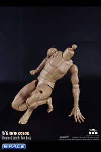 1/6 Scale Standard Muscle Arm Body