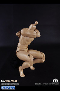 1/6 Scale Standard Muscle Arm Body