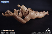 1/6 Scale Standard Muscle Arm Body