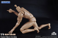 1/6 Scale Standard Muscle Arm Body