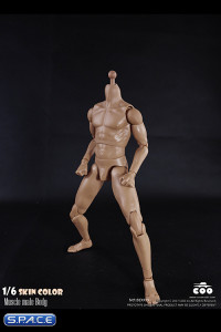 1/6 Scale Muscle male Body