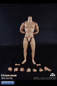 1/6 Scale Muscle male Body