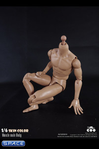 1/6 Scale Muscle male Body