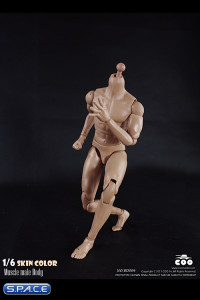 1/6 Scale Muscle male Body