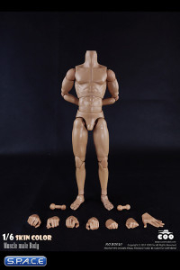 1/6 Scale Muscle male high Body