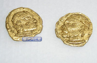 Gold Coins Replica (300)