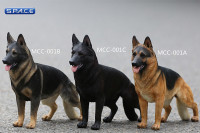 1/6 Scale Rioh black and Tan German Shepherd Dog