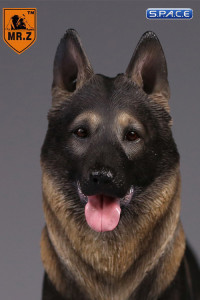 1/6 Scale rich saddle sable German Shepherd Dog