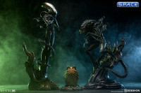 Alien Warrior Statue (Aliens)