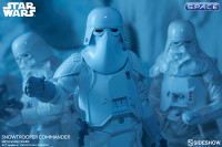 1/6 Scale Snowtrooper Commander (Star Wars)