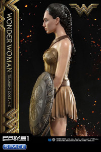 1/3 Scale Wonder Woman in Training Costume Museum Masterline Statue (Wonder Woman)