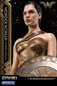 1/3 Scale Wonder Woman in Training Costume Museum Masterline Statue (Wonder Woman)