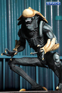 Complete Set of 3: Alien vs. Predator Arcade Appearance Series 2 (Alien vs. Predator)