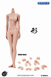 1/6 Scale Female suntan Body little breast Super-Flexible 2.0
