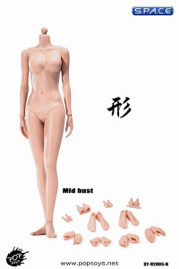 1/6 Scale Female suntan Body middle breast Super-Flexible 2.0