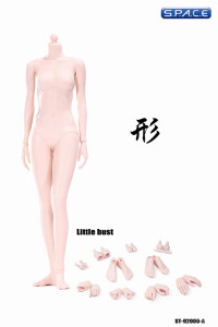 1/6 Scale Female pale Body little breast Super-Flexible 2.0