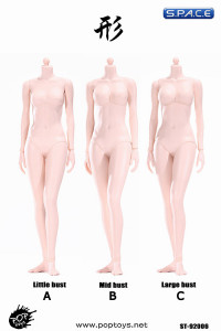 1/6 Scale Female pale Body little breast Super-Flexible 2.0