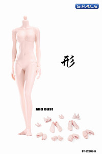 1/6 Scale Female pale Body middle breast Super-Flexible 2.0