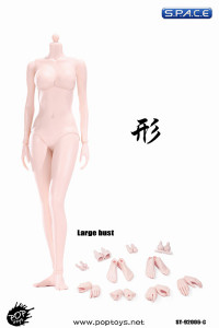 1/6 Scale Female pale Body large breast Super-Flexible 2.0