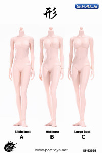 1/6 Scale Female pale Body large breast Super-Flexible 2.0