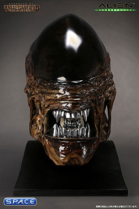 1:1 New Alien Warrior Life-Size Head (Alien Resurrection)