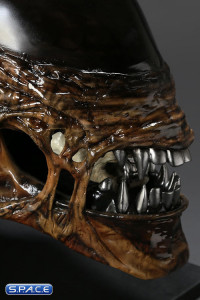 1:1 New Alien Warrior Life-Size Head (Alien Resurrection)