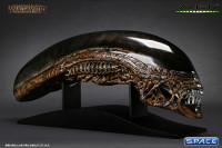 1:1 New Alien Warrior Life-Size Head (Alien Resurrection)
