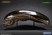 1:1 New Alien Warrior Life-Size Head (Alien Resurrection)