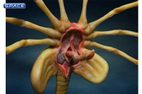 1:1 Facehugger Statue (Aliens)