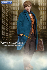 1/6 Scale Newt Scamander (Fantastic Beasts and Where to Find Them)